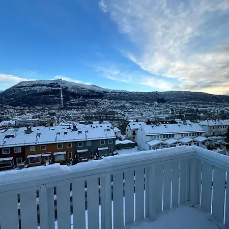 Great Overlooking Apartment Bergen